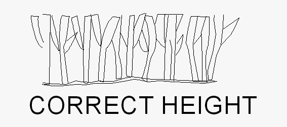 Illustration of grass correct height